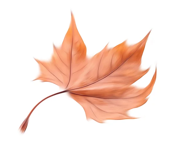 Blurred dry autumn leaf — Stock Photo, Image