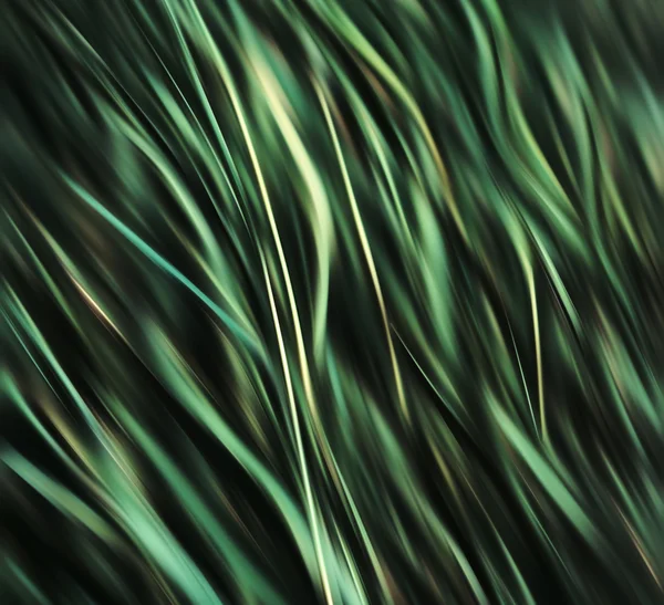 Absztrakt homályos zöld fű háttér — Stock Fotó