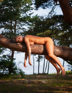 Beyaz bir kadın, açık havada, kalın bir çam ağacının dalında çırılçıplak yatıyor. Kadının kolları dalın altına doğru sarkıyor. Etrafını saran ağaçlar bir su kütlesi etrafında.