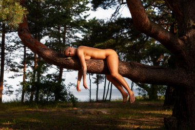 Genç beyaz bir dişi, suyun yakınındaki ağaçlık bir alanda, kalın ve yatay bir ağaç dalının üzerinde çıplak yatıyor. Kadının kolları yere doğru sarkıyor ve bacakları dalın altında sallanıyor..