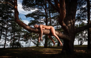 Çıplak beyaz bir dişi, orman ortamında kalın bir ağaç dalının üzerinde yatar. Kadın vücudu yatay olarak uzanır kolları ve bacakları aşağı doğru sarkır..