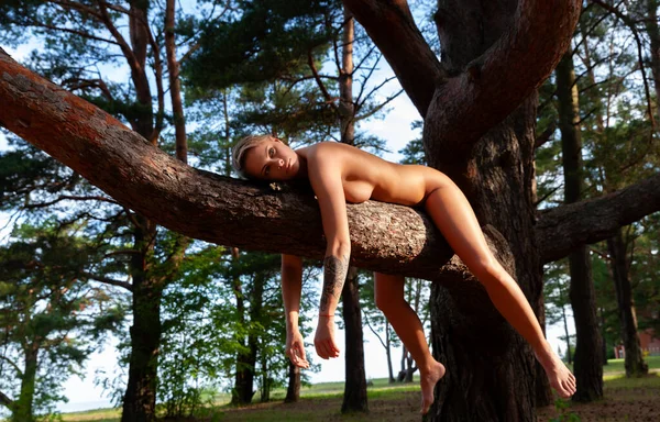 Beyaz çıplak bir kadın, ağaçlık bir alanda, kalın bir ağaç dalının üzerinde yatay olarak yatıyor. Kadının kolları gevşek sallanıyor ve bir bacağı dalın altında sallanıyor..