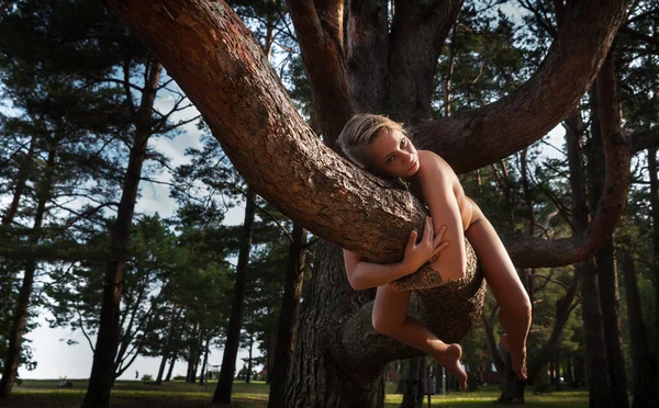 Genç bir kadın, bir orman ortamında, kalın bir ağaç dalında çırılçıplak yatıyor. Kadın kolları ve bacaklarıyla tahtayı kucaklıyor. Etrafı ağaçlarla çevrili..