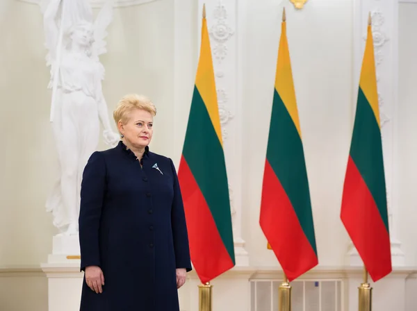 Ordförande för Litauens Dalia Grybauskaite — Stockfoto