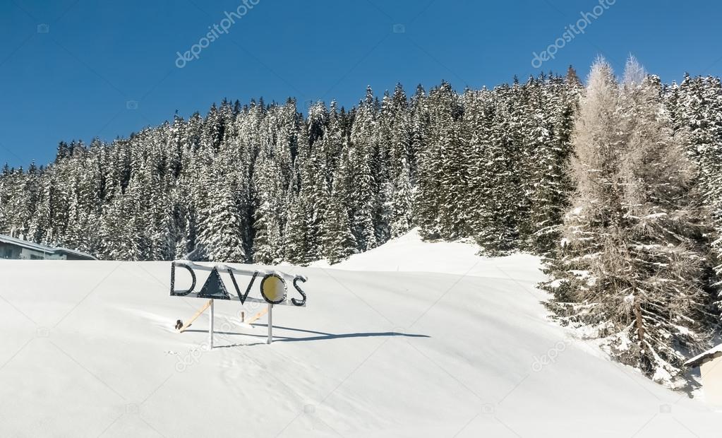 Snow-covered fir trees