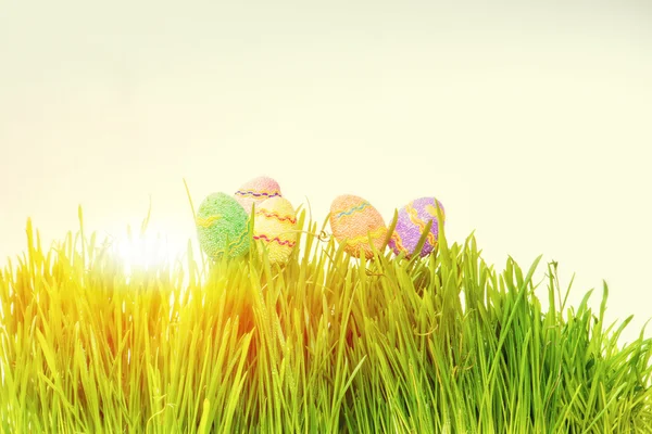 Easter eggs hiding in the grass — Stock Photo, Image