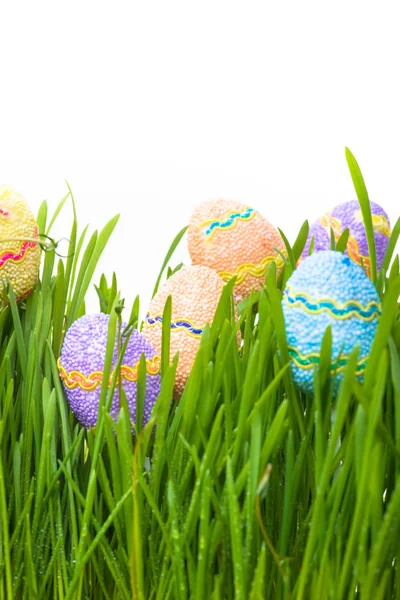 Easter eggs hiding in the grass — Stock Photo, Image