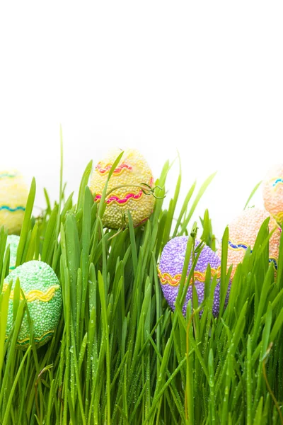 Easter eggs hiding in the grass — Stock Photo, Image