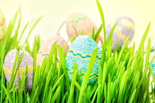 Easter eggs hiding in the grass — Stock Photo, Image