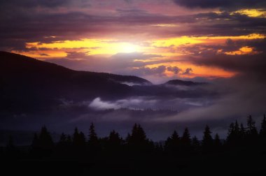 Manzaralı dağ manzarası. Sis kaplı ormanın manzarası. Renkli seyahat arkaplanı.