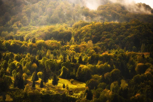 Paysage de montagne pittoresque. Vue sur la forêt couverte de brouillard. Fond de voyage coloré. — Photo