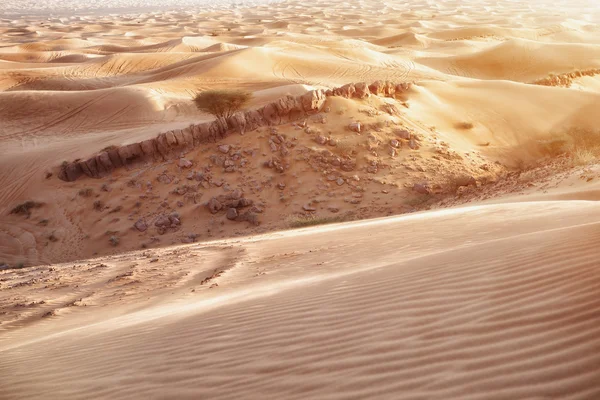 Deserto Dune di sabbia — Foto Stock