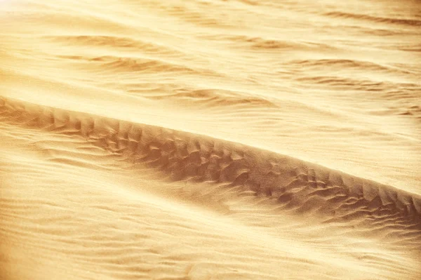 Desert sand dunes — Stock Photo, Image