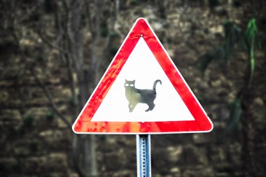 Yol işareti kedi - kavşak yakınındaki dikkat edin.