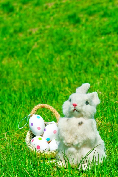 Easter bunny and eggs on green grass — Stock Photo, Image