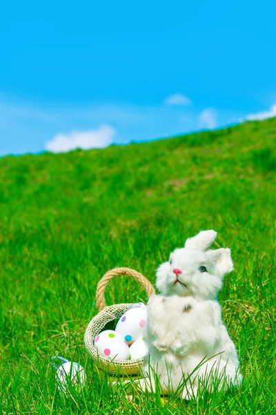 Easter bunny and eggs on green grass — Stock Photo, Image