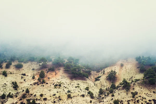 Niebla en la montaña — Foto de Stock