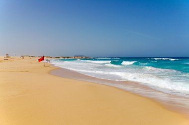 Fuerteventura plaj sahne yaz