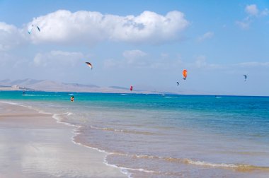 Fuerteventura plaj sahne yaz