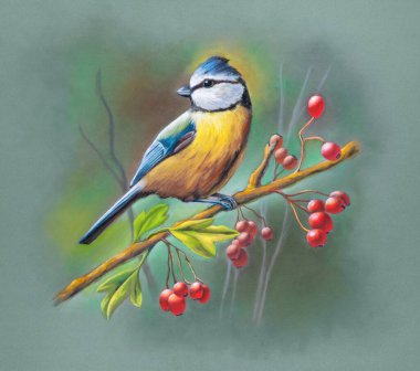 Soft pastel painting depicting a blue tit perched on a branch with red berries and leaves. Traditional illustration on paper.