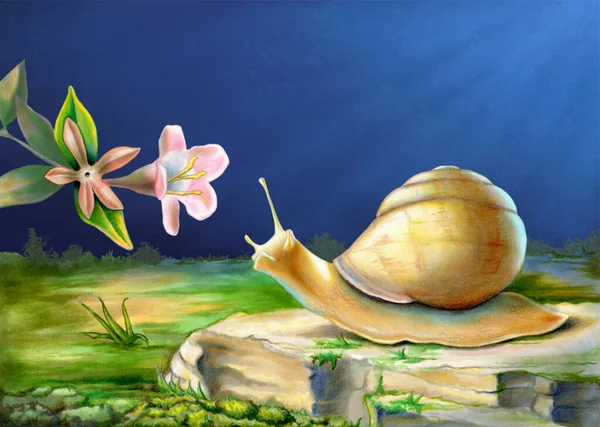 Snail exploring its surroundings and reaching out to a flower. Mixed media illustration.