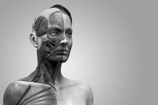 Anatomia człowieka z kobieta — Zdjęcie stockowe
