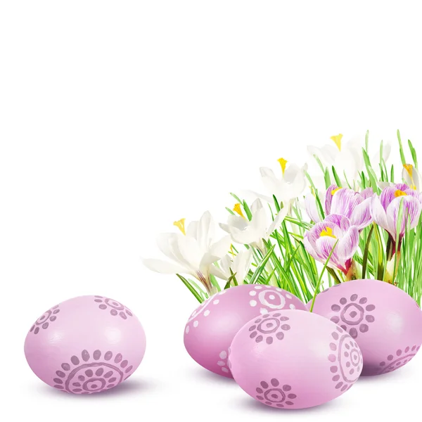 Uova di Pasqua su sfondo bianco — Foto Stock