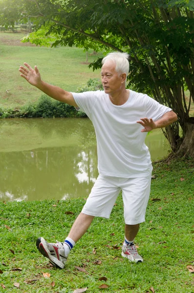 Azjatycki człowiek wykonuje tai chi — Zdjęcie stockowe
