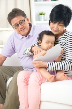 büyük veliler büyük oğlu öğretim