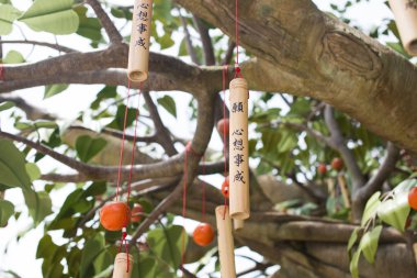 dilek ağacı ngong ping villeage olduğunu