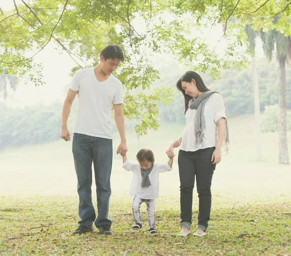 Park 'taki Asyalı aile. — Stok fotoğraf