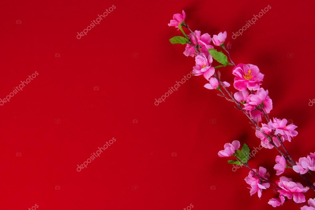 Flores chinas fotos de stock, imágenes de Flores chinas sin royalties |  Depositphotos