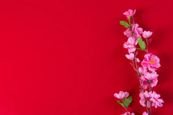 Chinese new year decorations — Stock Photo, Image