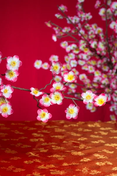 Capodanno cinese fiore di ciliegio — Foto Stock