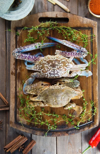 Crabes crus aux épices — Photo