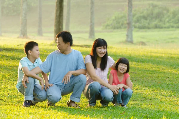 Familjen lekfulla och leende i park — Stockfoto