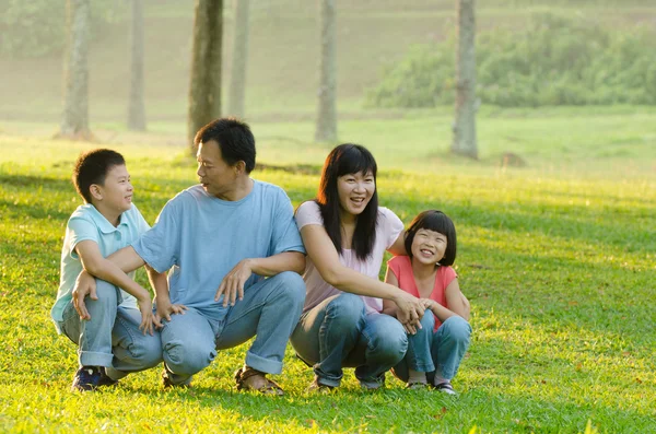 Familjen lekfulla och leende i park — Stockfoto