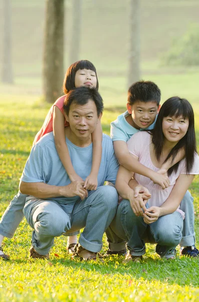 Famille ludique et souriante dans le parc — Photo