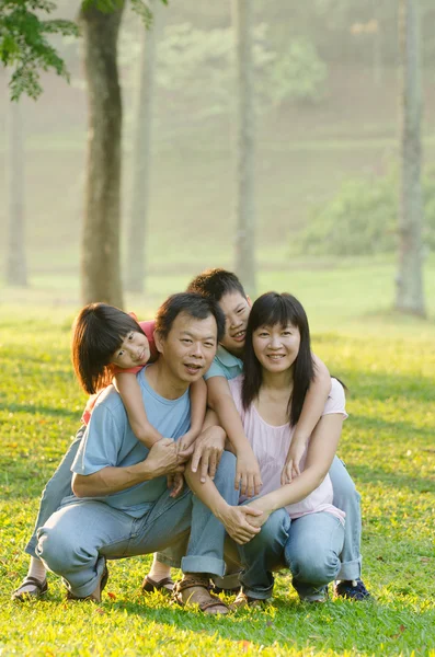 Familia juguetona y sonriente en el parque — Foto de Stock