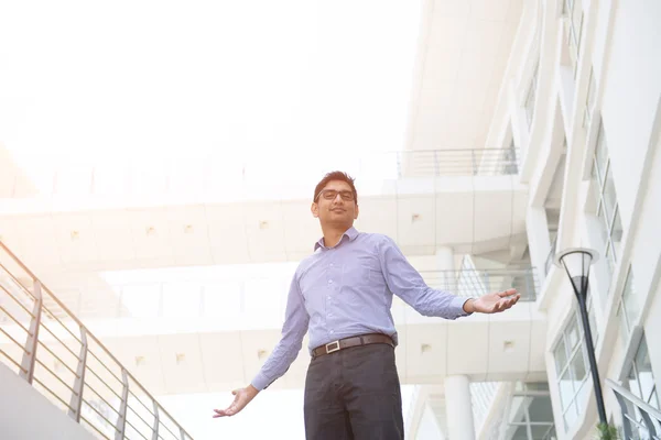 Successful indian business man — Stock Photo, Image