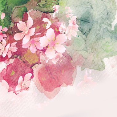kiraz çiçeği, suluboya resim tasarım için
