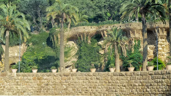 Park Guell palmiye ağaçlarında — Stok fotoğraf