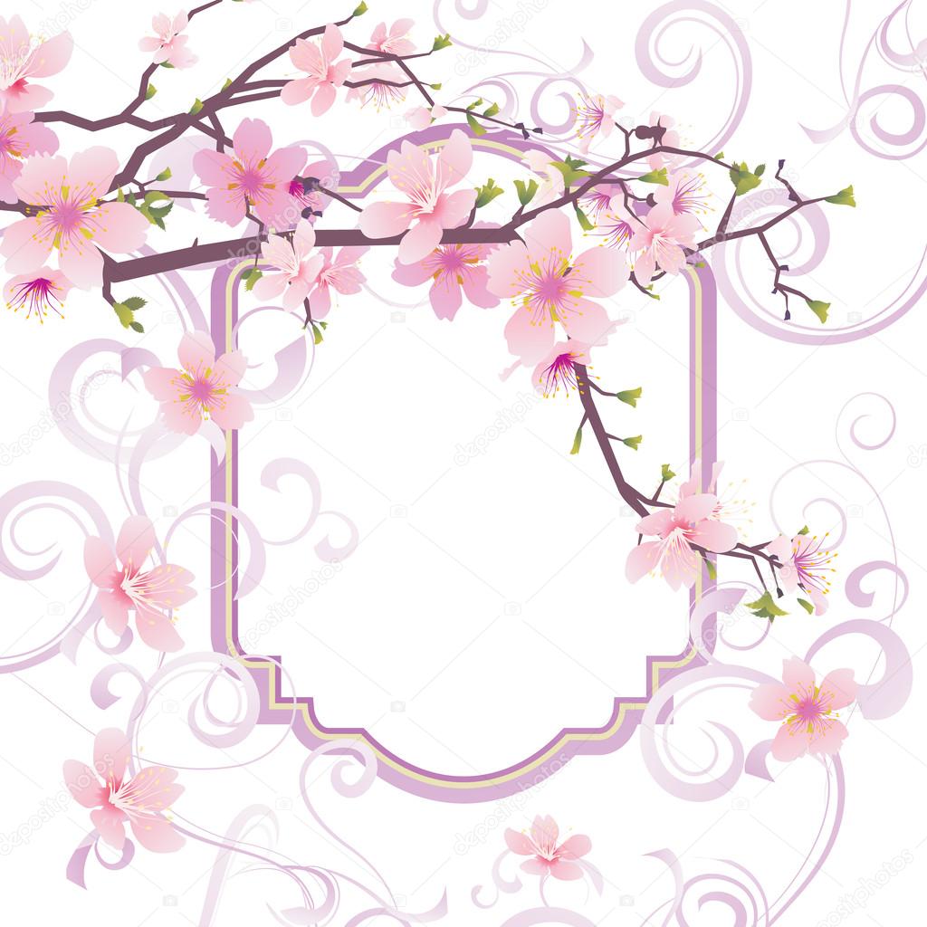 Flowers sakura blossom frame