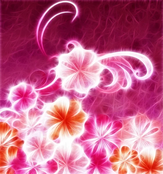 Pink flowers background — Stock Photo, Image