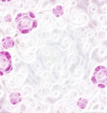 Beyaz arkaplanda güller