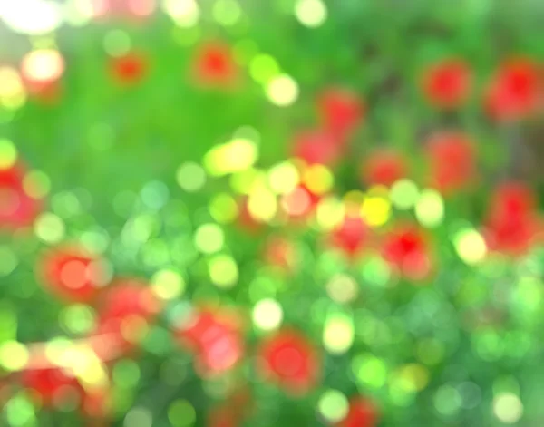 红色的罂粟花景 — 图库照片