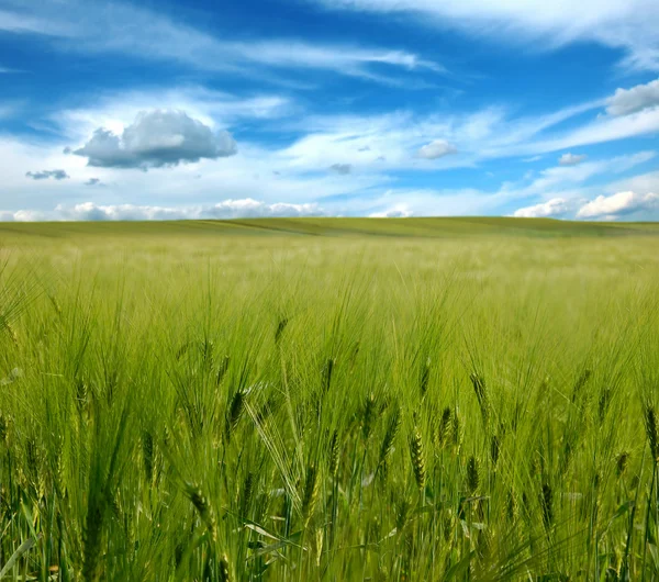 Zielone kutup ben b?? kitne niebo — Stok fotoğraf