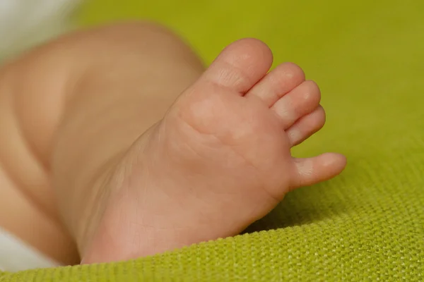Neugeborener — Stockfoto