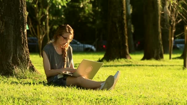 Kobieta pracuje na laptopie siedząc na zielony trawnik podczas zachodu słońca — Wideo stockowe