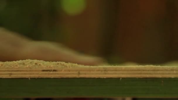 Тесля працює з промисловим знаряддям на деревній фабриці, круглий лезо з дерев "яною дошкою. — стокове відео